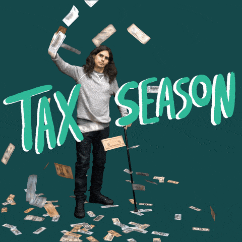 Roles of an EOR simplifying taxation in the Netherlands